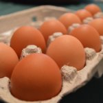 A dozen brown eggs in a carton